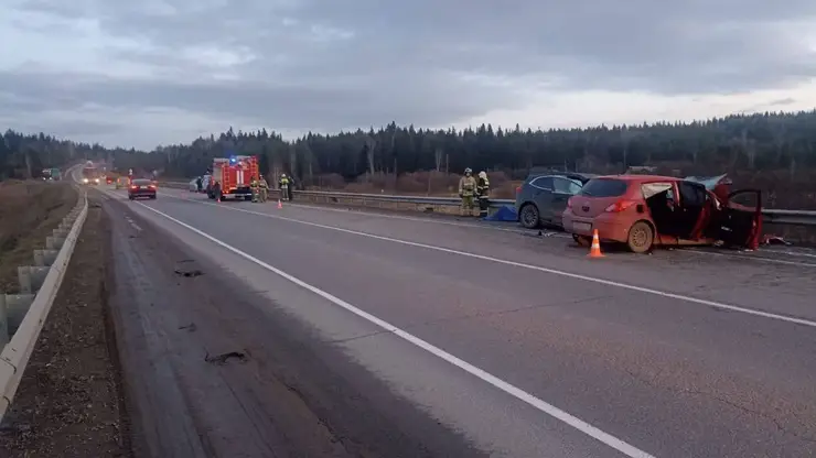 Три человека погибли из-за аварии в Манском районе края