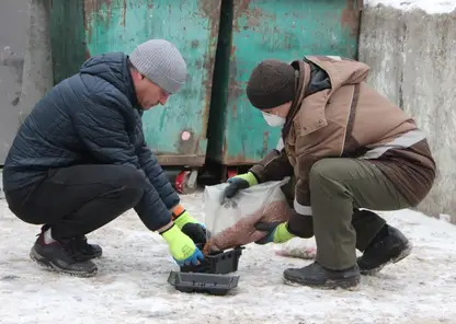 В Красноярске прошла масштабная дератизация: обработаны тысячи объектов