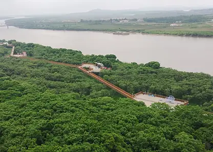 Россия, Китай и КНДР объединятся в туристическом проекте «Туманганский путь»