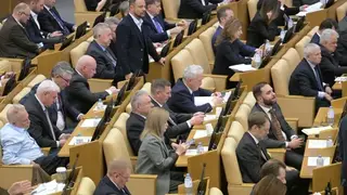 «Детский капитал» предложили ввести депутаты Госдумы