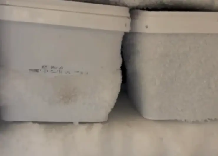 В Красноярске из ночного клуба на свалку унесли 90 кг просрочки