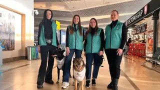 В красноярском аэропорту появились собаки эмоциональной поддержки