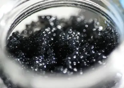 Более 200 тушек краснокнижной рыбы и десятки банок черной икры изъяли у браконьера в Красноярском крае