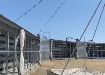 Крупнейшие незаконные майнинг-фермы выявлены в Иркутской области