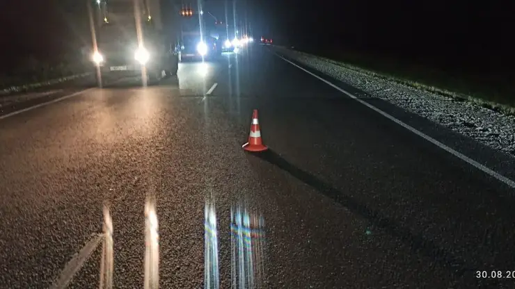 Два человека погибли в ДТП с лосем в Новосибирской области