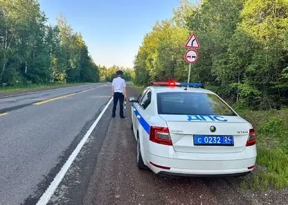 Сотрудники  ГИБДД и ПДН Красноярска проверяют водителей на соблюдение правил перевозки детей