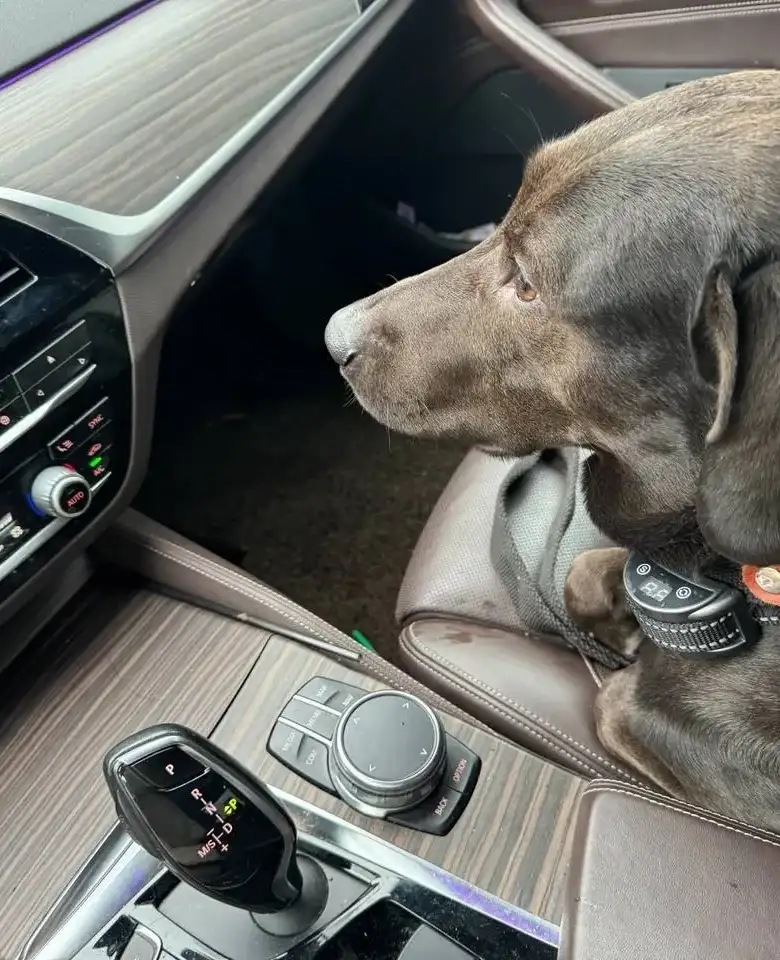 Фото: sibnovosti.ru