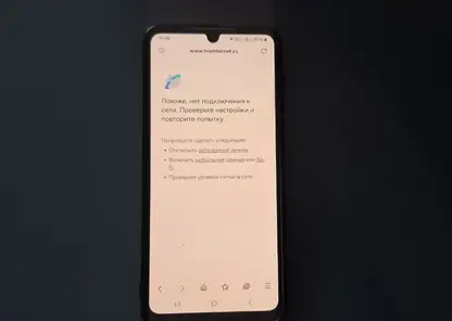 «Нервы на исходе»: Мизулина ответила на жалобы омичей на перебои с Интернетом