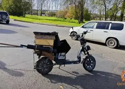 Легковушка сбила пенсионера на электровелосипеде в Зеленогорске (видео)