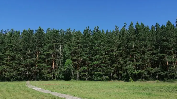 Заблудившегося в тайге мужчину с нарушением слуха нашли в Красноярском крае