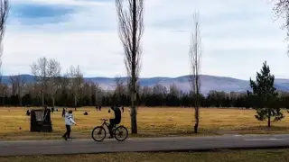 В Красноярске в воскресенье распогодится до +22 градусов