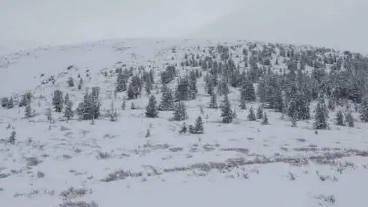 Зима в начале сентября: первый снег пришел в Тыву, Республику Алтай и Новосибирскую область