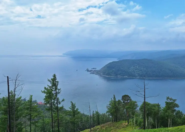 Правительство дало зеленый свет рубкам леса на Байкале, несмотря на протесты экологов