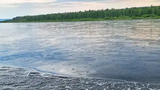 Обильный грозовой ливень и шквалистый ветер вновь накроют Красноярск 26 августа