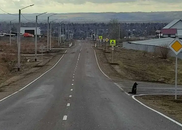 В Канске завершилась реализация комплексного проекта по развитию Северо-Западного промышленного района