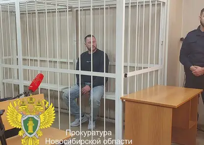 В Новосибирске собственника обрушившегося ТЦ отправили под стражу