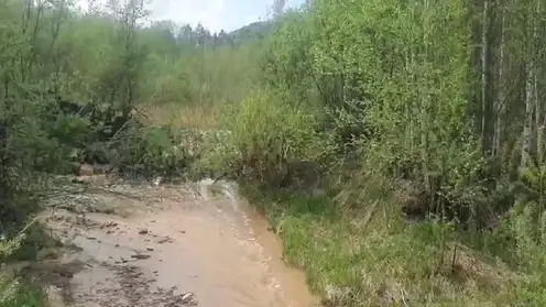 Золотодобывающую компанию оштрафовали в Красноярском крае за загрязнение реки