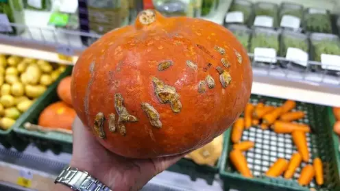 Повышает либидо: красноярцам рассказали, что будет с организмом, если есть тыкву