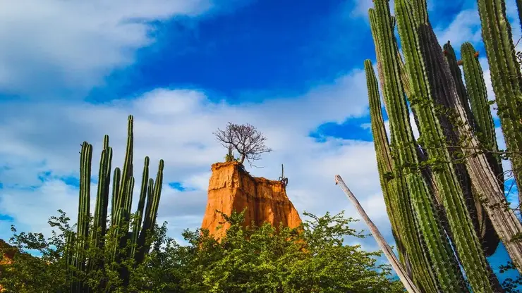 Похищенная в Мексике семья из Красноярска прилетела в Россию