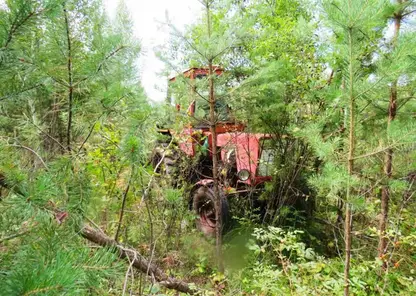 В Иркутской области подростки украли трактор