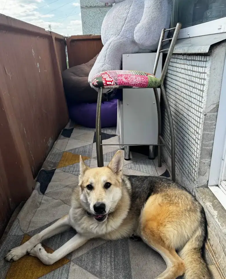 Фото: sibnovosti.ru