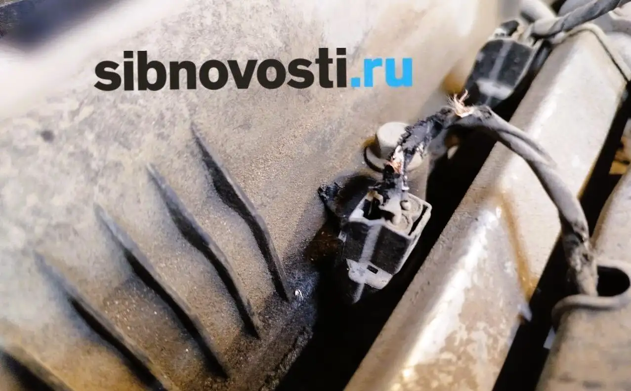 Фото: sibnovosti.ru