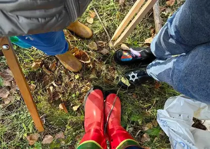 Осенний общегородской субботник пройдёт в Красноярске 20 сентября