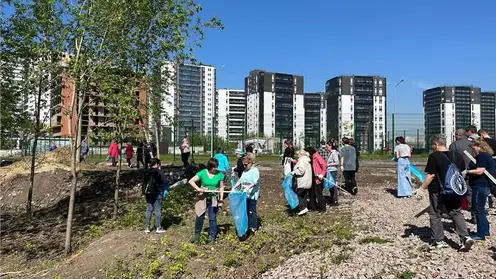 Красноярцам рассказали о ходе благоустройства территории около трех озер в Пашенном