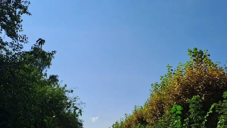 Без бабьего лета? Какой будет погода в Красноярске в сентябре