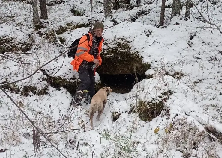 В тайге, где пропала семья Усольцевых, нашли следы ядовитых змей