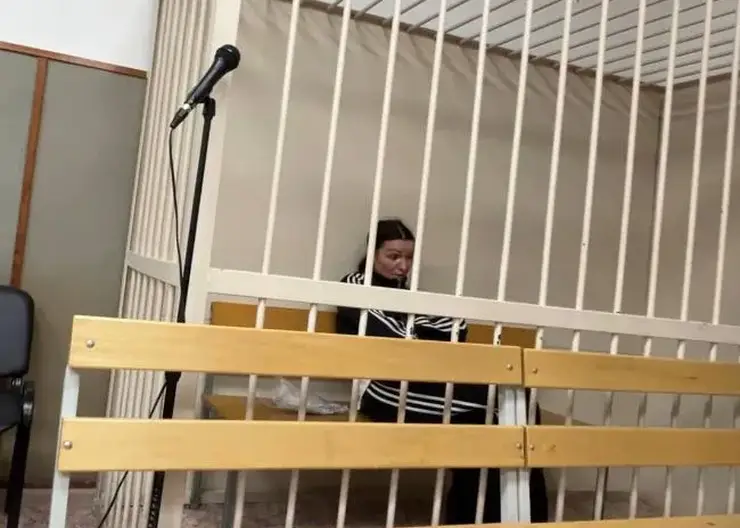 Блогерша из Приангарья предстанет перед судом за нападение на полицейских