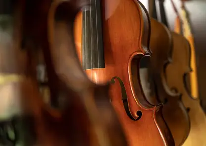 «Любой конкурс подразумевает давление»: альтист Павел Романенко о конкурсе им. Шпета и психологической подготовке участников