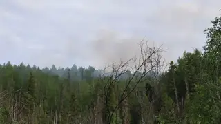 Дым от лесных пожаров в Красноярском крае накрыл Хакасию