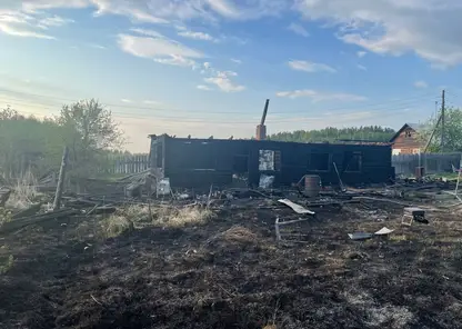 Трое детей погибли при пожаре в Красноярском крае