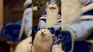 В Красноярске сегодня открывается Заимка Деда Мороза В Красноярске сегодня открывается Заимка Деда Мороза