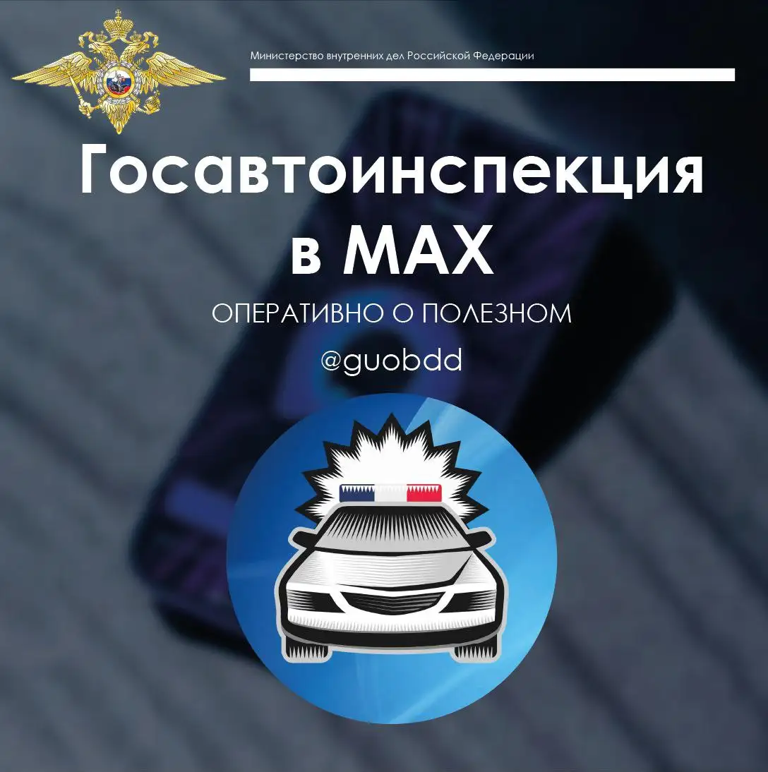 Фото: Telegram-канал «Ирина Волк»