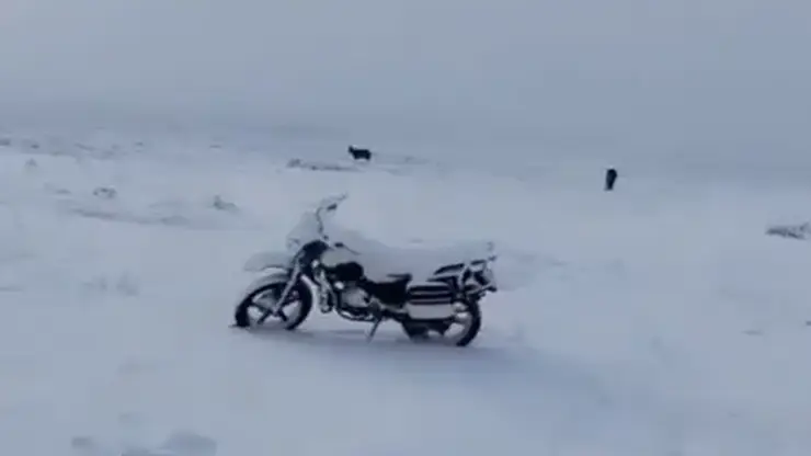 Июльский снегопад в Туве (видео)