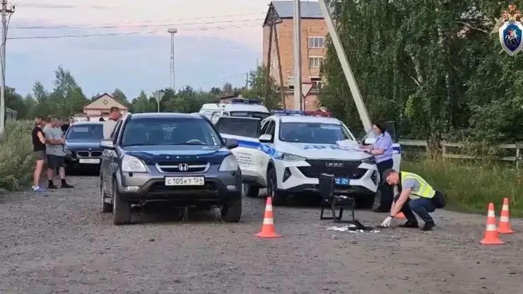 Житель Красноярского края стрелял в полицейских и бросился на них с ножом