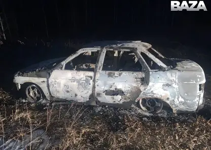 В Тюмени перекупщика авто зарезали, затем сожгли ради Kia Optima