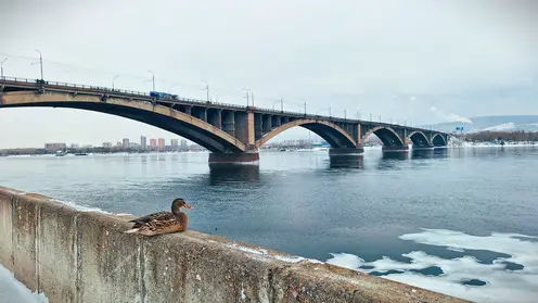 И снова мороз. Красноярцев в воскресенье ждёт резкое похолодание и сильный ветер