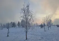 Завтра, 8 января в Красноярске ожидается снежный и морозный день