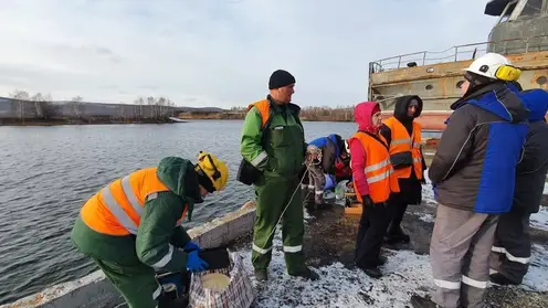 В крае предприятие выплатило больше 14 млн рублей за загрязнение реки