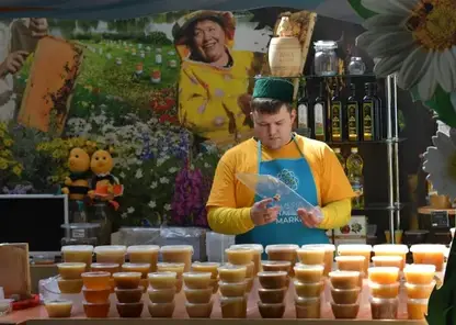 240 кг мёда собрали пчёлы на трёх ТЭЦ Красноярска