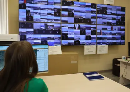 В Красноярском крае установят новые камеры для защиты лесов от пожаров