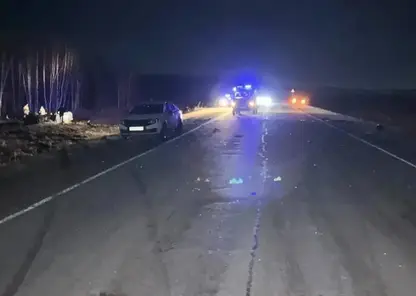 Три человека погибли в ДТП с лошадью на трассе в Красноярском крае