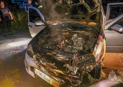 Пожарные в Омской области с начала года потушили больше сотни горящих автомобилей