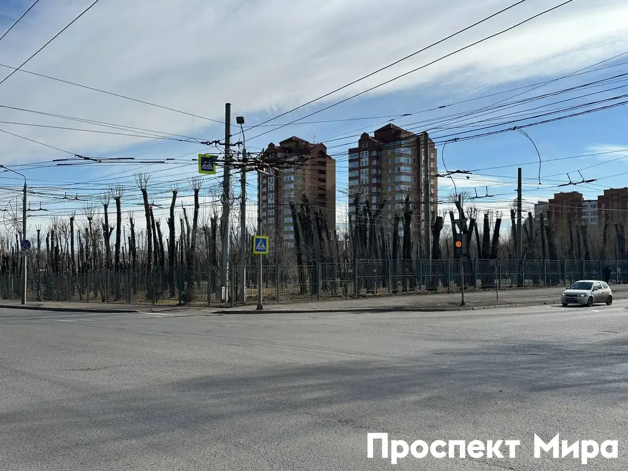 Фото: Проспект Мира