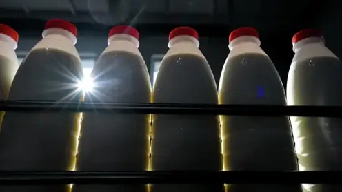 Роспотребнадзор оштрафовал красноярское предприятие за грубые нарушения при производстве молочной продукции