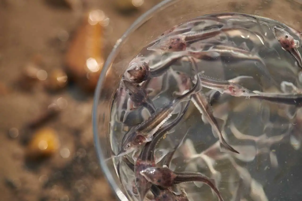 Фото: пресс-служба ВСНК