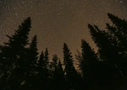 Гороскоп на 13 марта